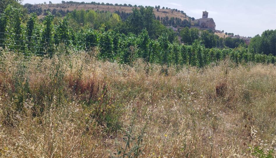 Non-constructible Land for sale in Carretera de Turegano, 14, Caballar, Segovia - image 1 Photo 1 of Non-constructible Land for sale in Carretera de Turegano, 14, Caballar, Segovia