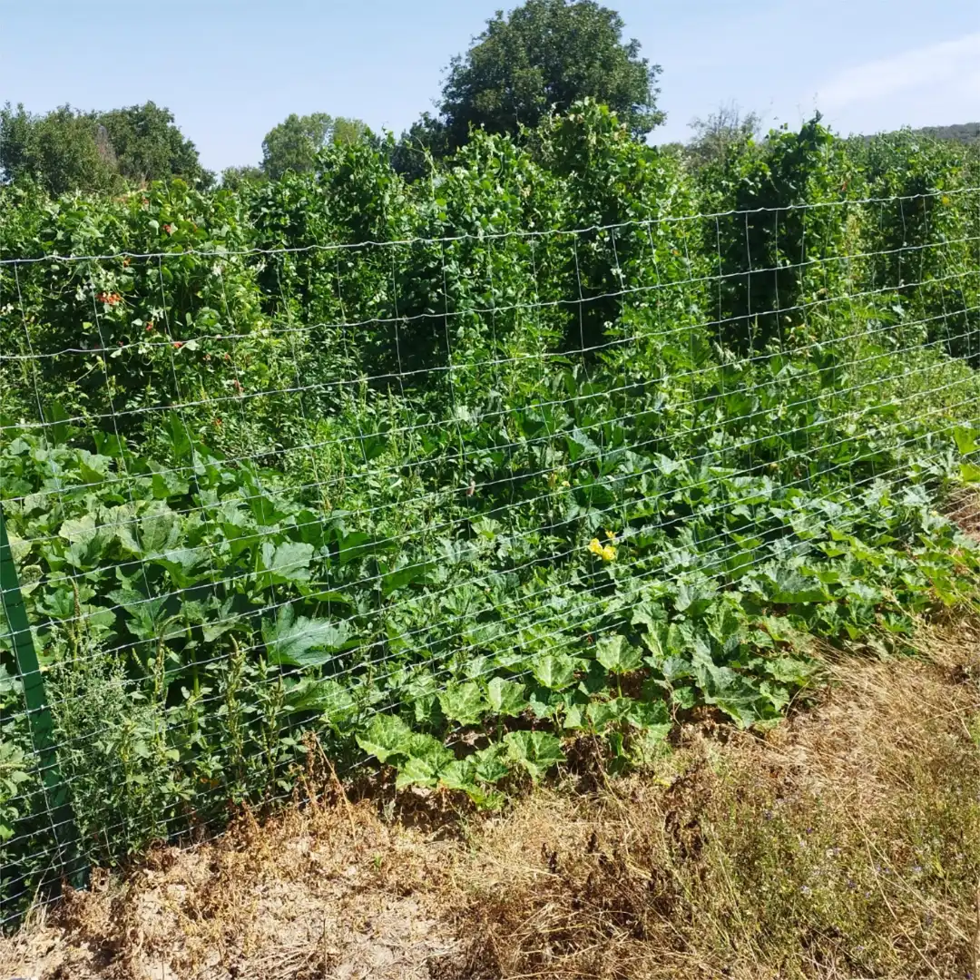 Non-constructible Land for sale in Carretera de Turegano, 14, Caballar Garden of Non-constructible Land for sale in Caballar