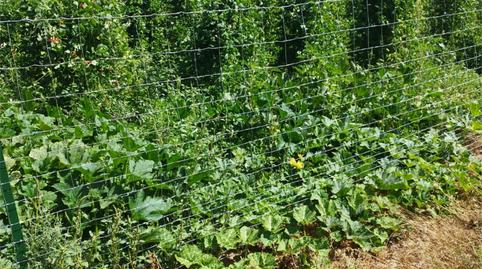 Non-constructible Land for sale in Carretera de Turegano, 14, Caballar, Segovia - image 2 Photo 2 of Non-constructible Land for sale in Carretera de Turegano, 14, Caballar, Segovia