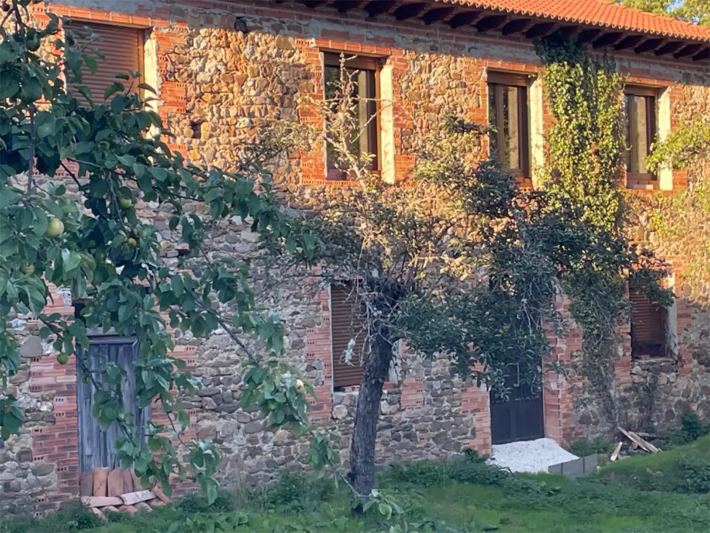 Finca rústica en venta en Calle Carretera, 29, Santibáñez de la Peña Vista exterior de Finca rústica en venta en Santibáñez de la Peña con Jardín privado