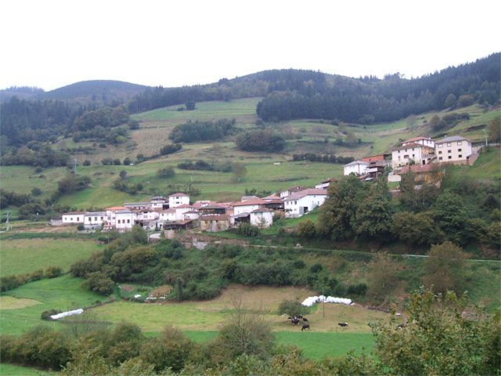 Finca rústica en venda a Lugar Riocastiello, 7a, Tineo Vista exterior de Finca rústica en venda en Tineo