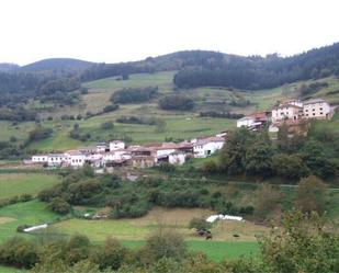 Exterior view of Country house for sale in Tineo