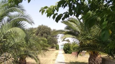 Foto 3 de Casa o xalet en venda a Torre de Santa María, Cáceres