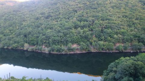 Casa o xalet en venda a O Saviñao , Lugo - imatge 2 Foto 2 de Casa o xalet en venda a O Saviñao , Lugo