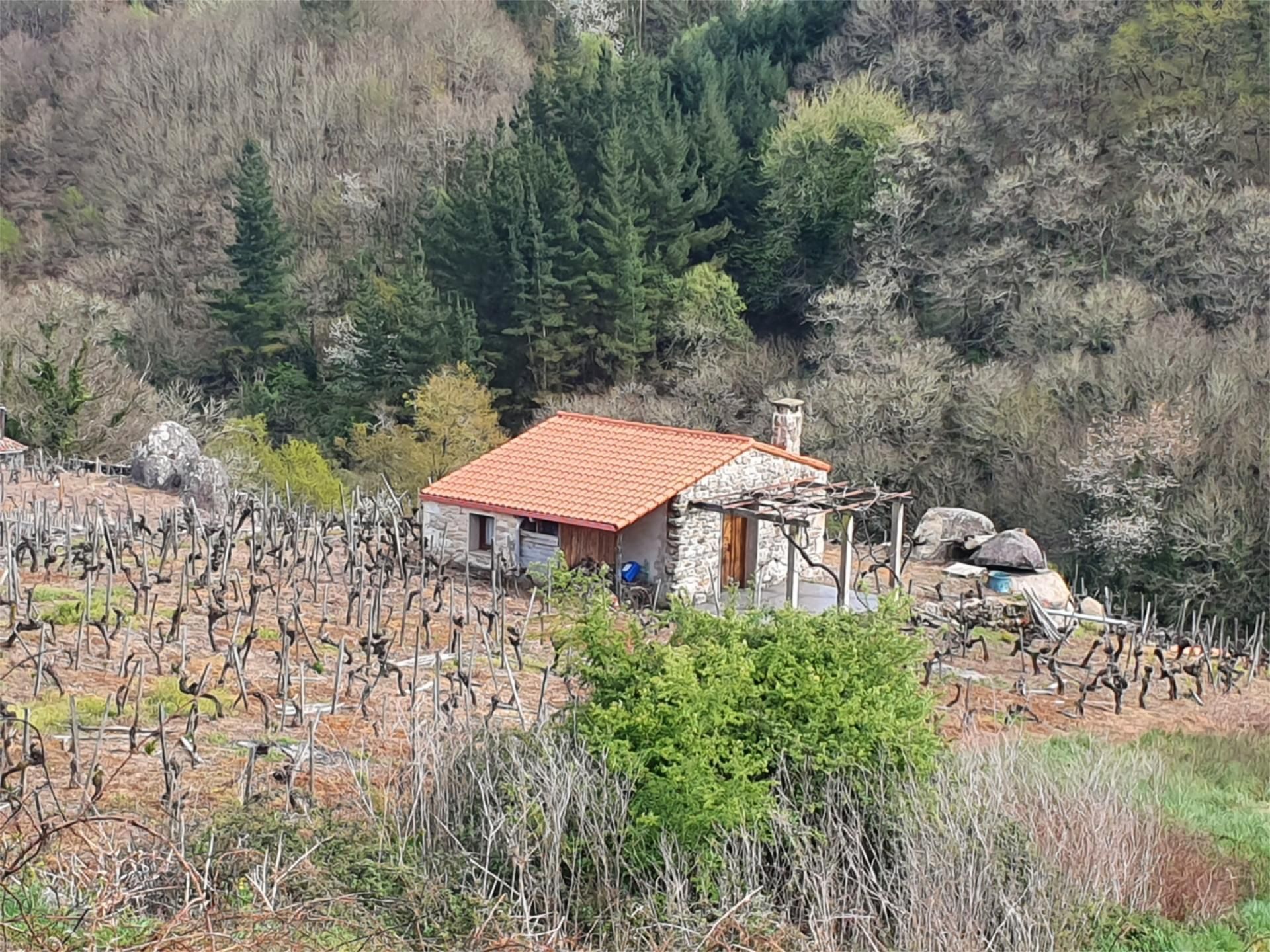 House or chalet for sale in O Saviñao House or chalet for sale in O Saviñao