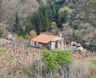 Casa o xalet en venda en O Saviñao  amb Jardí privat i Moblat