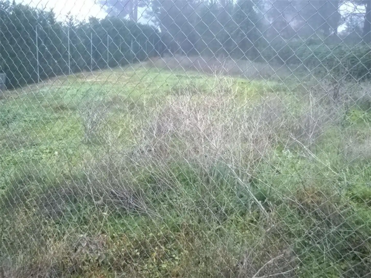Bebaubares Gelände zum Verkauf in Camino Via Pinar Ramal 1, 8, Extrarradio Bebaubares Gelände zum Verkauf in Valladolid