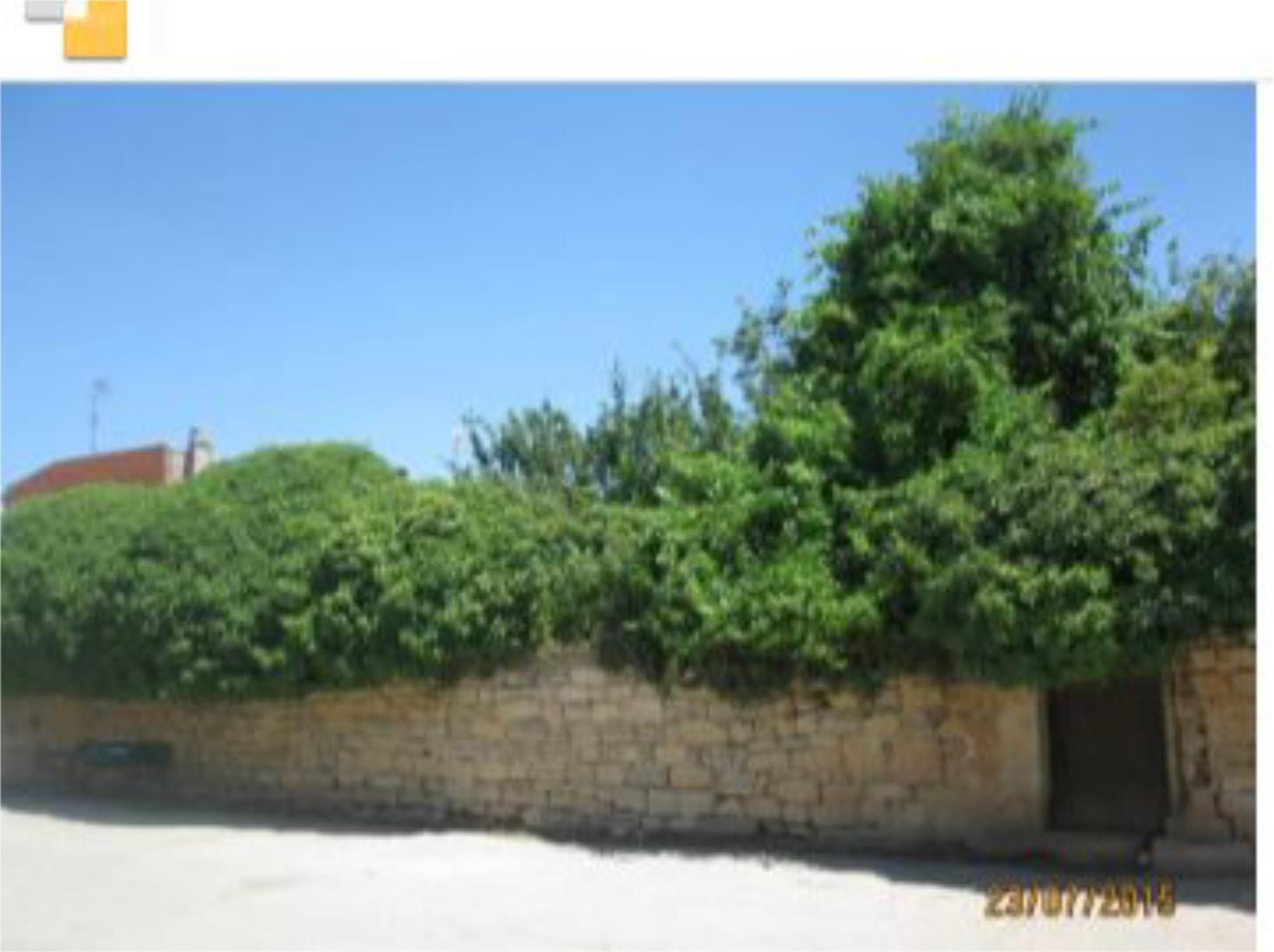 Land for sale in Tardajos