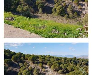 Constructible Land for sale in Alhaurín de la Torre