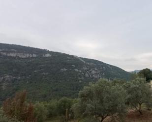 Land for sale in Castell de Castells