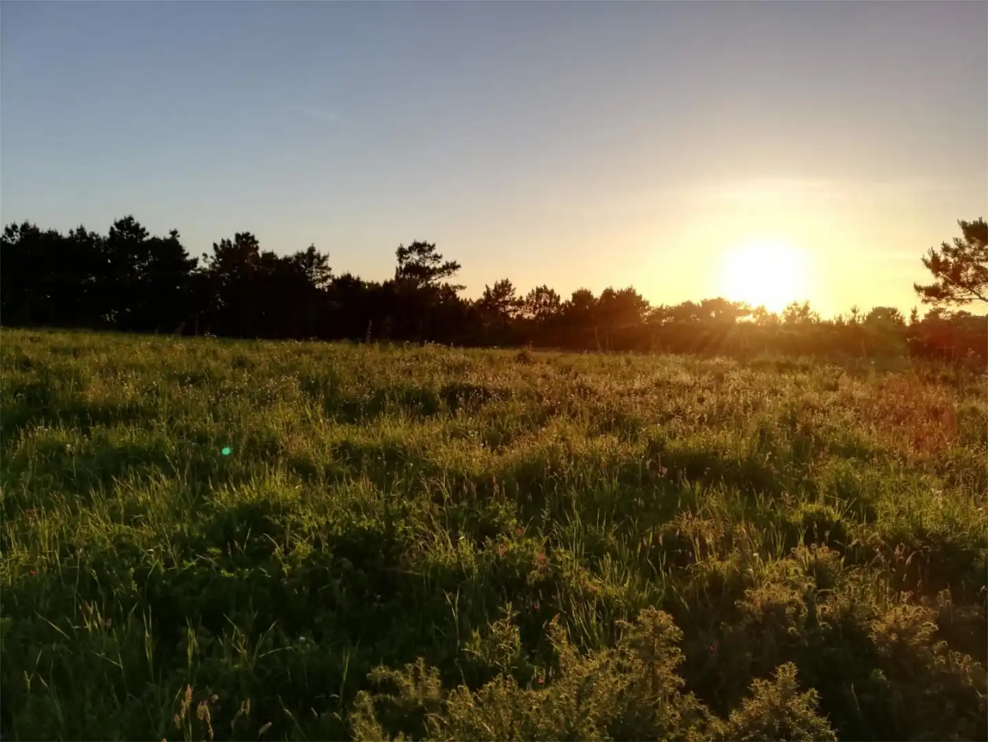 Finca rústica en venda en Tordoia