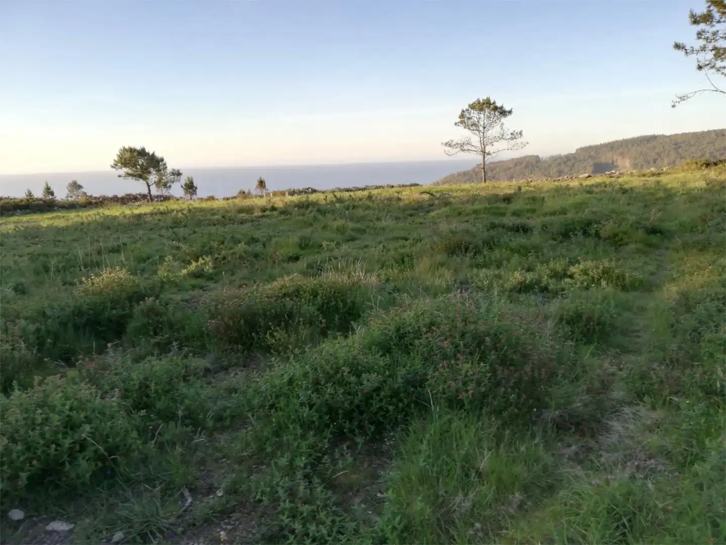Finca rústica en venda en Tordoia