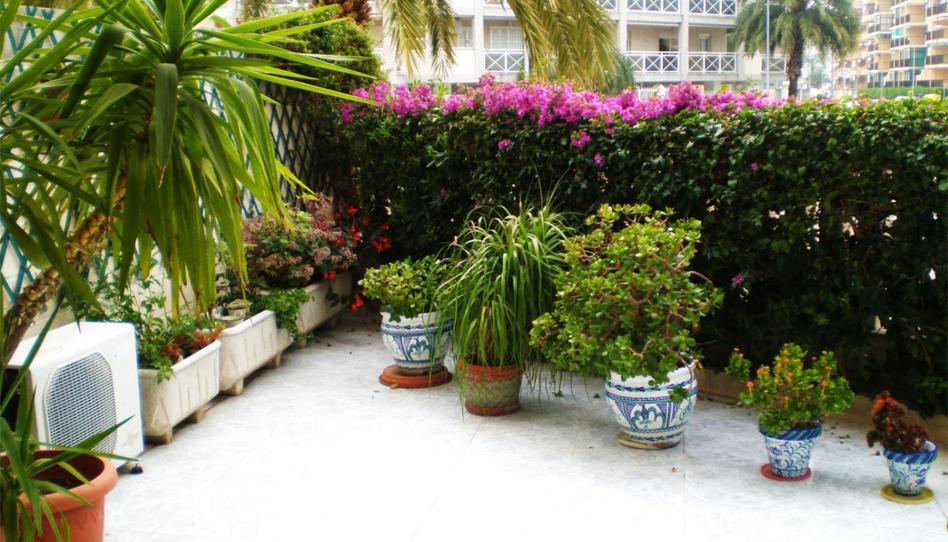 Planta baixa en venda a Avinguda Roger de Llúria, 26, Daimús, Valencia - imatge 1 Foto 1 de Planta baixa en venda a Avinguda Roger de Llúria, 26, Daimús, Valencia