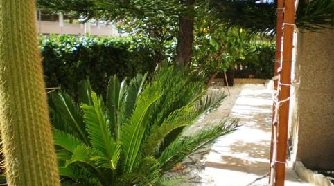 Planta baixa en venda a Avinguda Roger de Llúria, 26, Daimús, Valencia - imatge 5 Foto 5 de Planta baixa en venda a Avinguda Roger de Llúria, 26, Daimús, Valencia