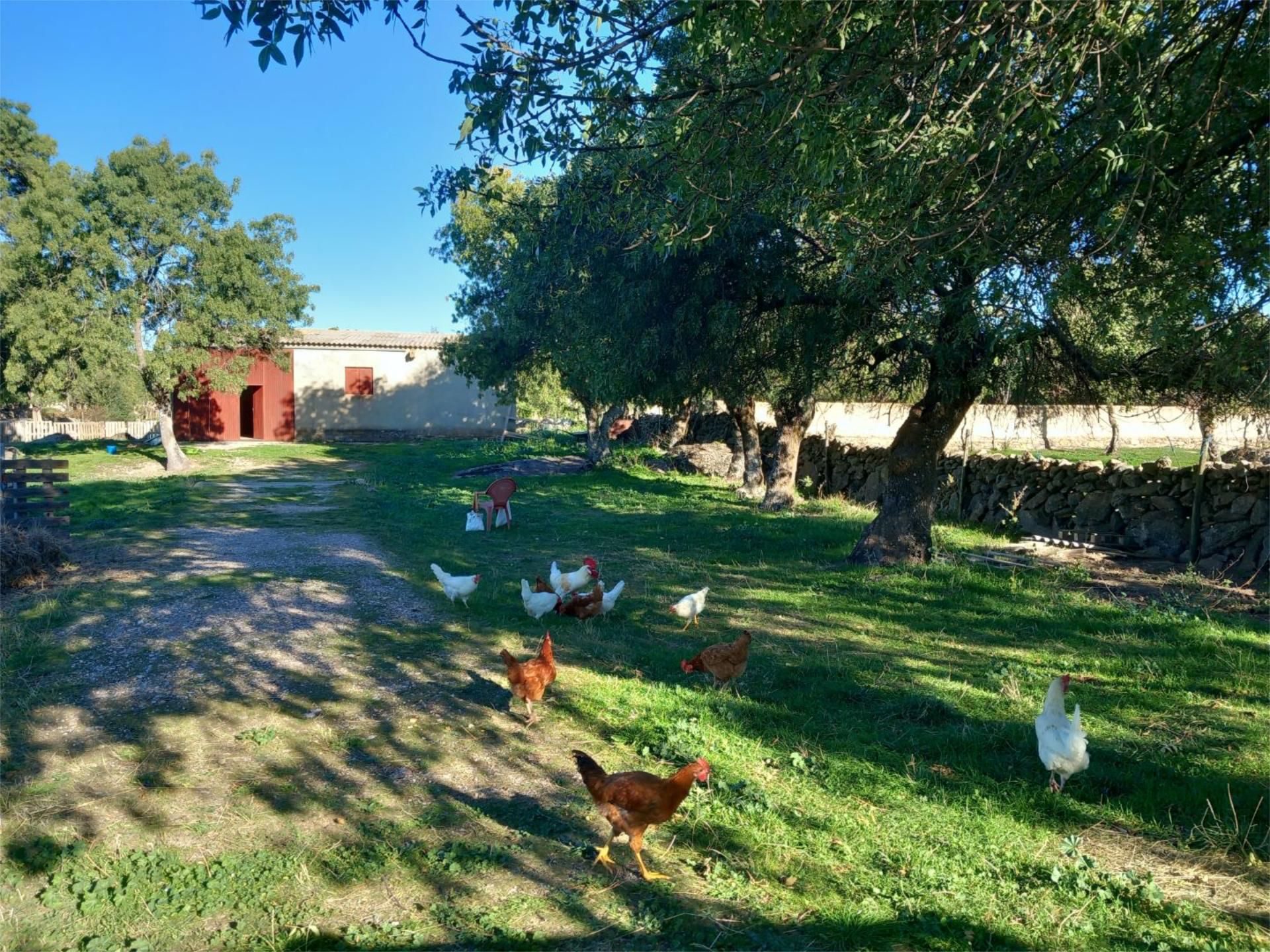 Exterior view of Land for sale in Basardilla