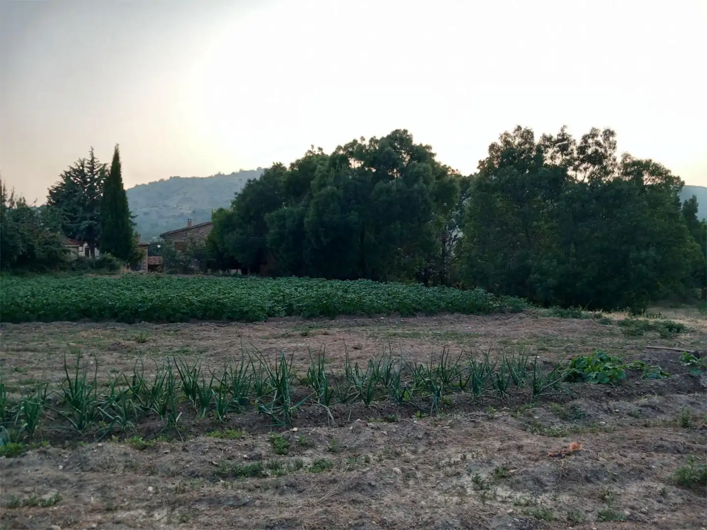 Constructible Land for sale in Prádena del Rincón