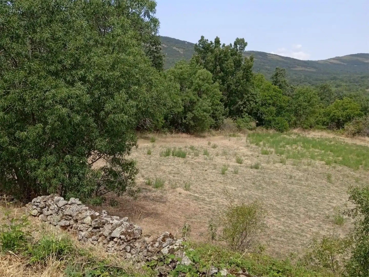Constructible Land for sale in Prádena del Rincón