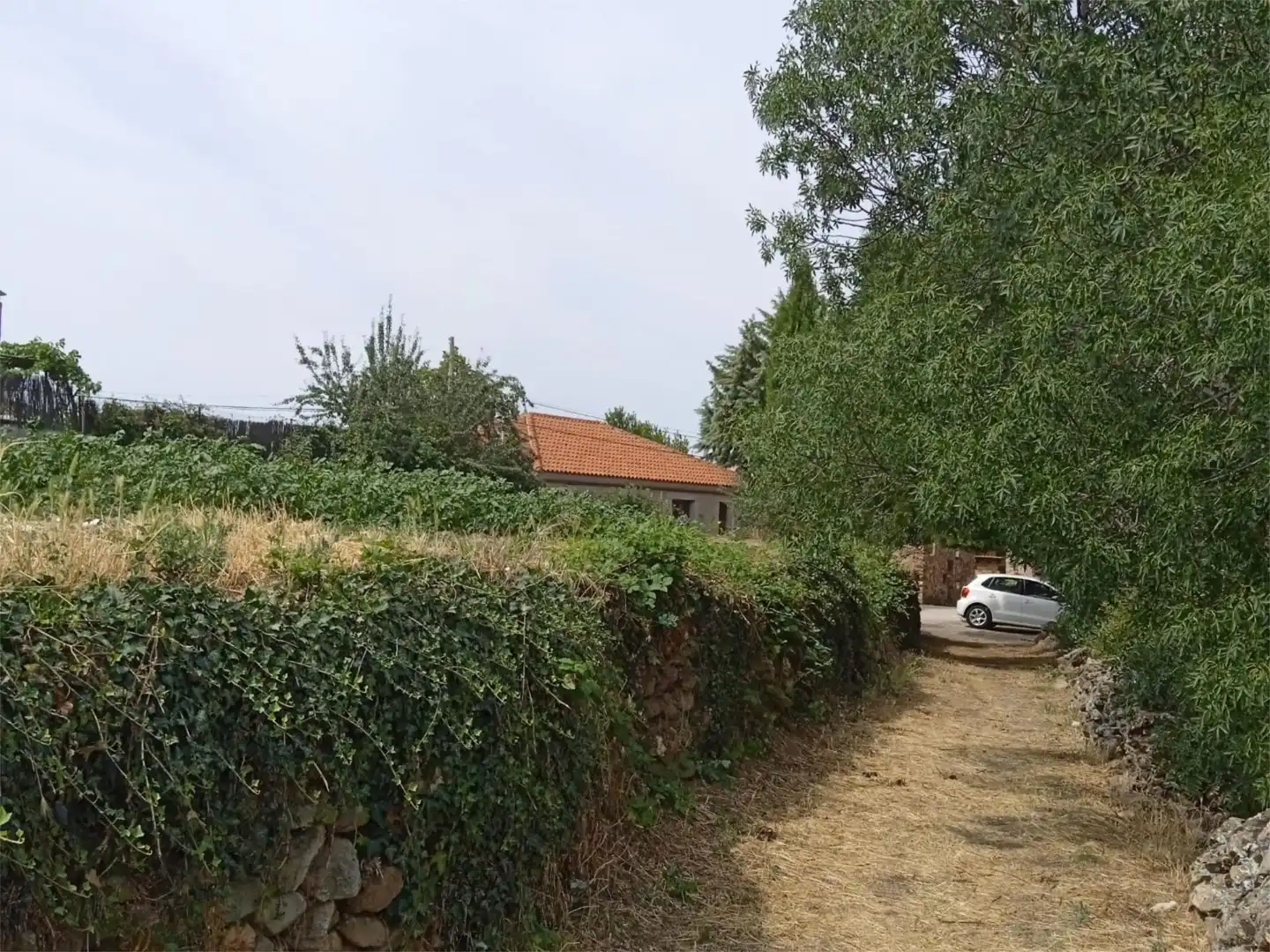 Constructible Land for sale in Prádena del Rincón
