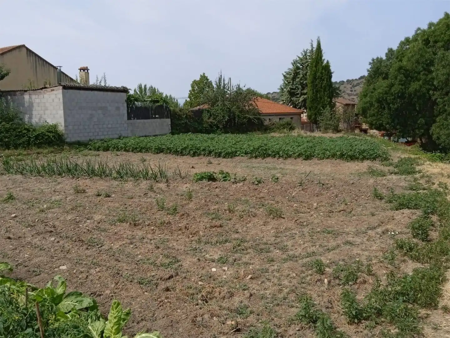 Constructible Land for sale in Prádena del Rincón
