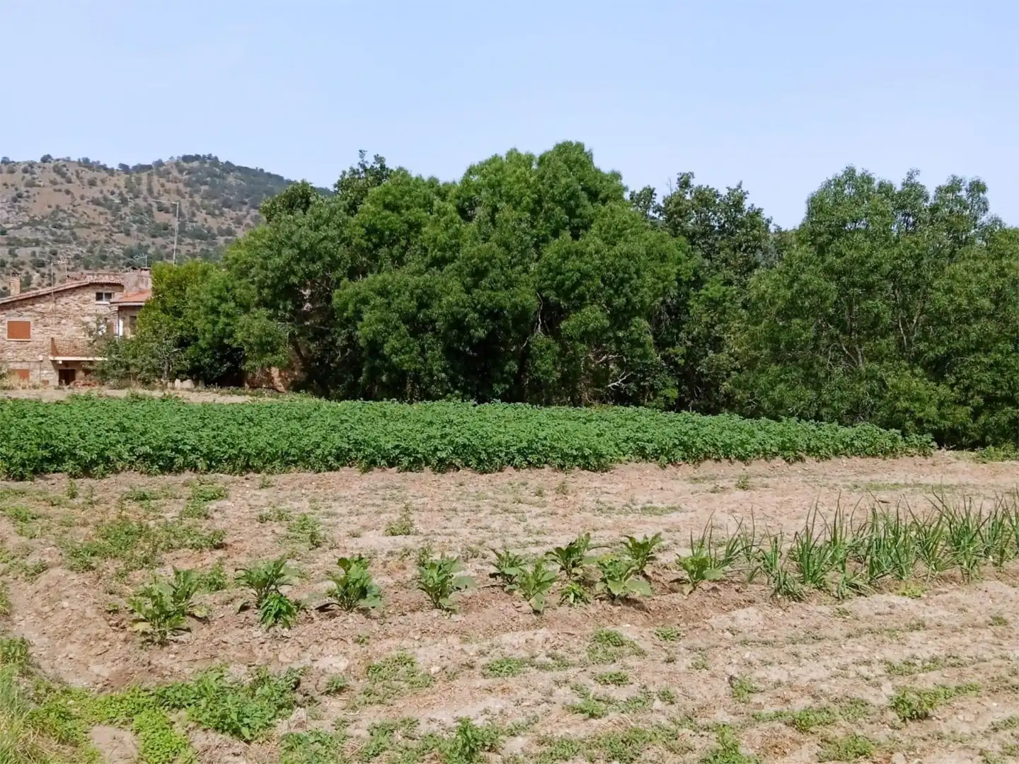 Constructible Land for sale in Prádena del Rincón