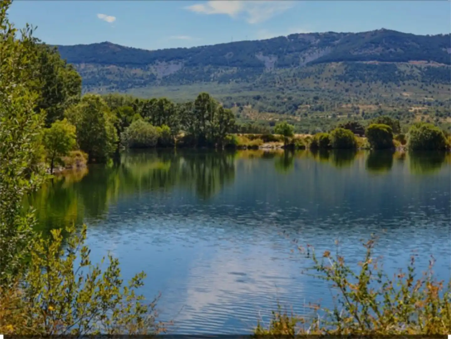 Constructible Land for sale in Prádena del Rincón