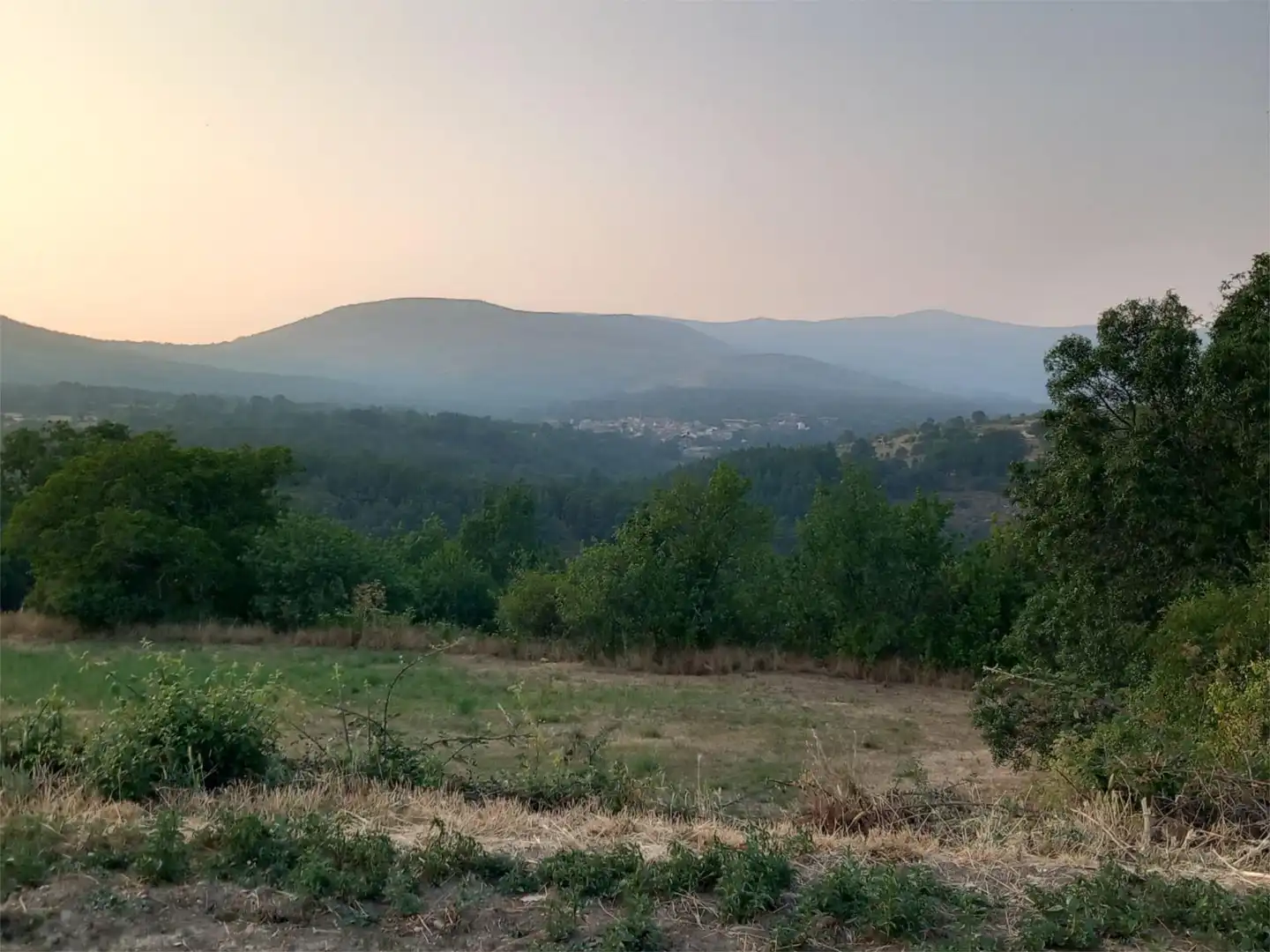 Constructible Land for sale in Prádena del Rincón