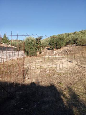 Terreno en venta en pedro peńa letón, 4 de algarin