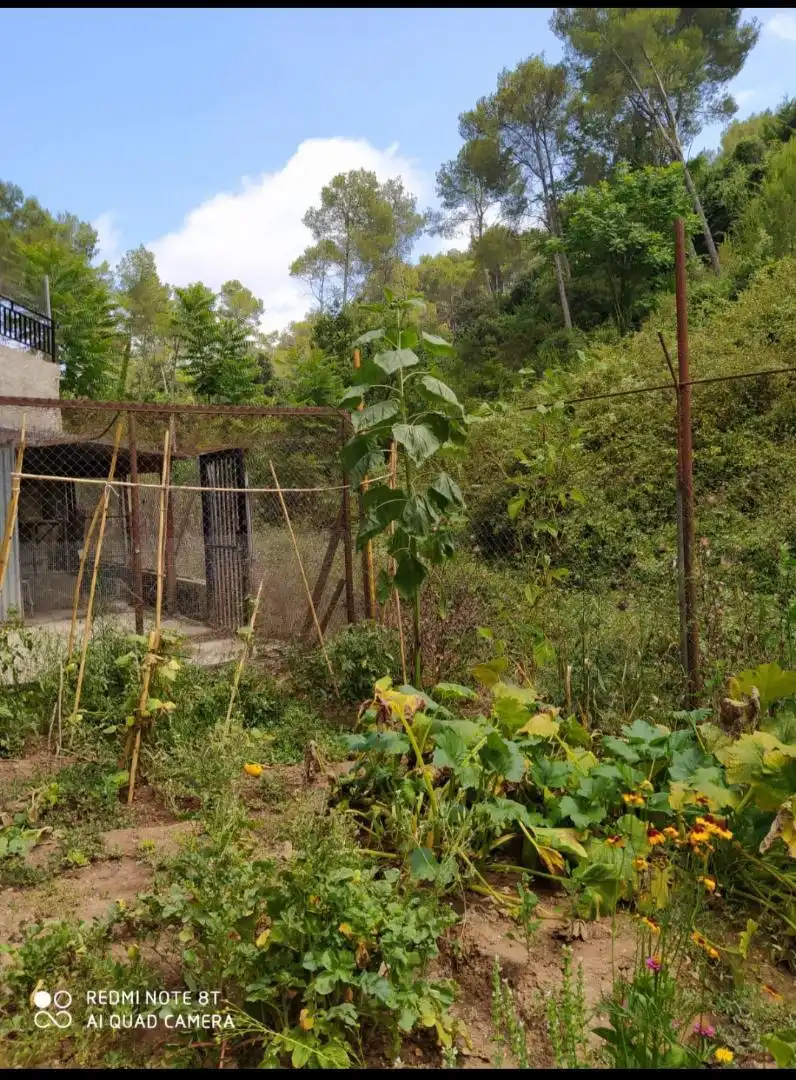 Habitación en Avinguda dels Païssos Catalans, 159, Vallirana Jardín de Planta baja para compartir en Vallirana con Jardín privado, Parquet y Terraza