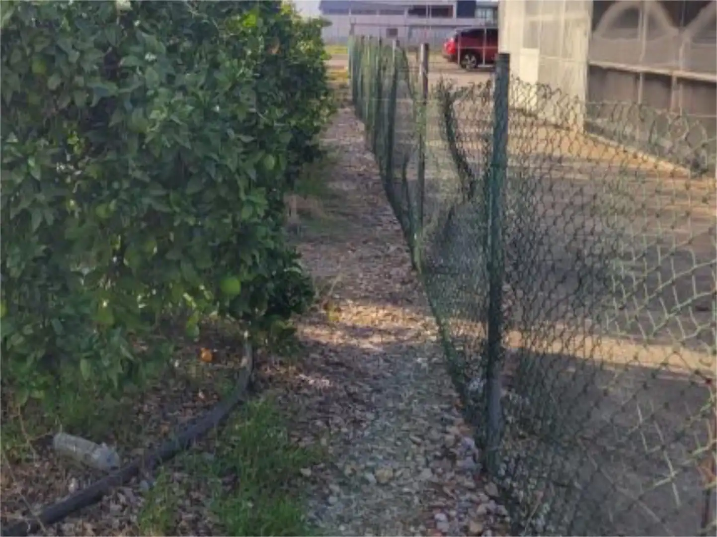 Bebaubares Gelände zum Verkauf in Camí del Llavador, 4, Palmera Bebaubares Gelände zum Verkauf in Palmera