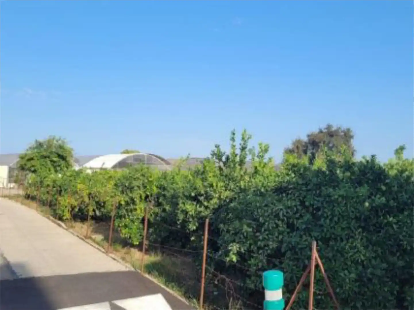 Bebaubares Gelände zum Verkauf in Camí del Llavador, 4, Palmera Bebaubares Gelände zum Verkauf in Palmera