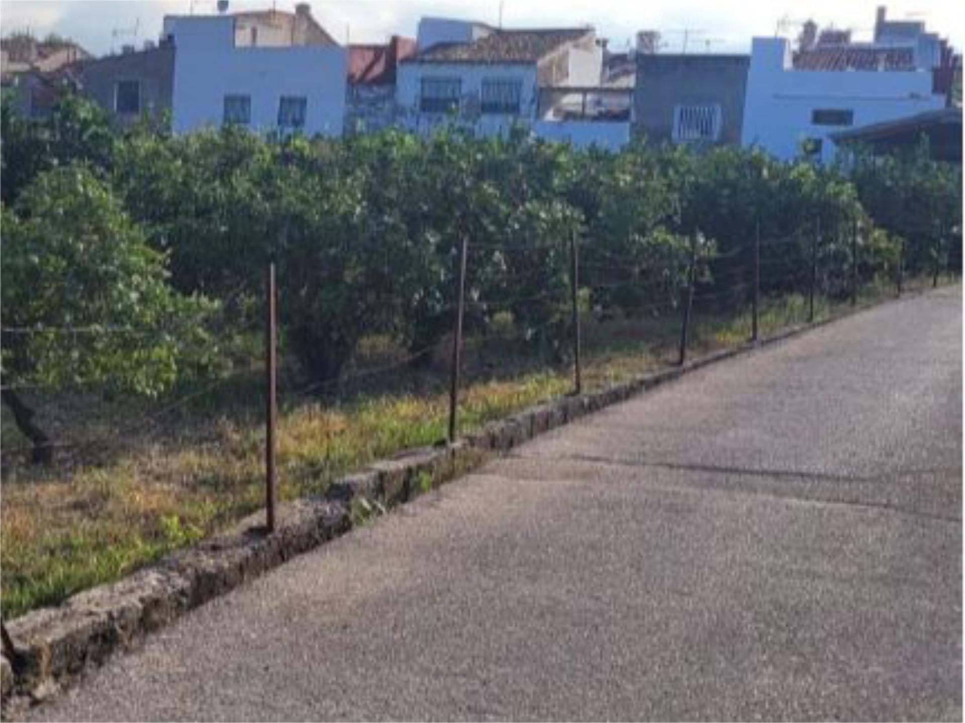 Urbanitzable en venda en Palmera