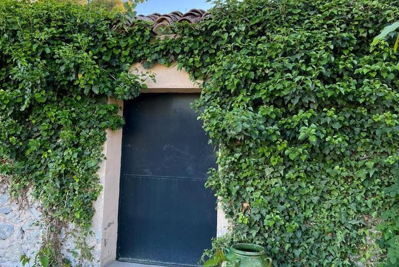 Foto 1 de Finca rústica en venda a Avenida Alameda Camilo Sesto, 2, Eixample, Alicante