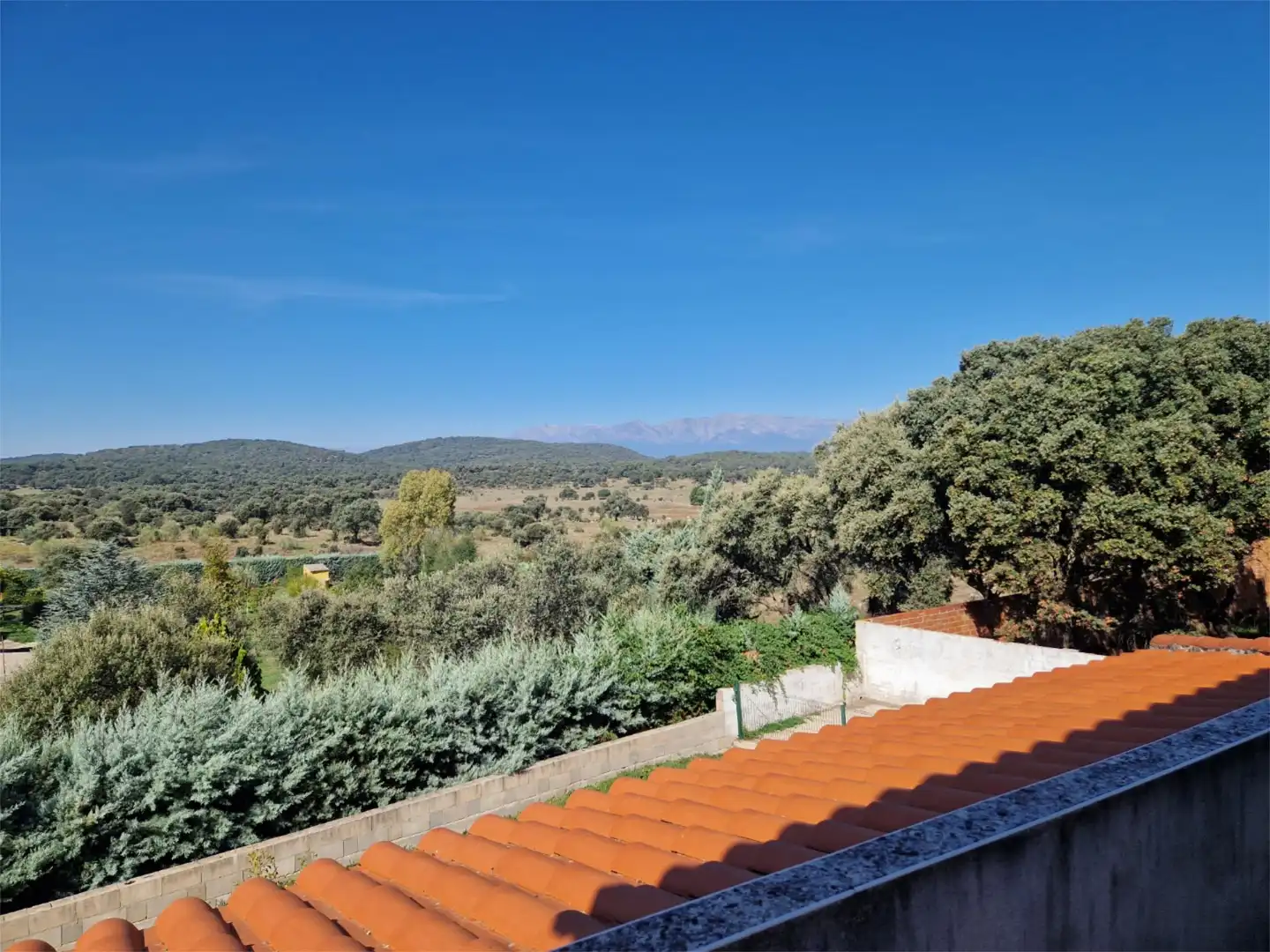 Casa o xalet en venda a Calle Cebras, 26, Montesclaros Jardí de Casa o xalet en venda en Montesclaros amb Calefacció, Jardí privat i Balcó
