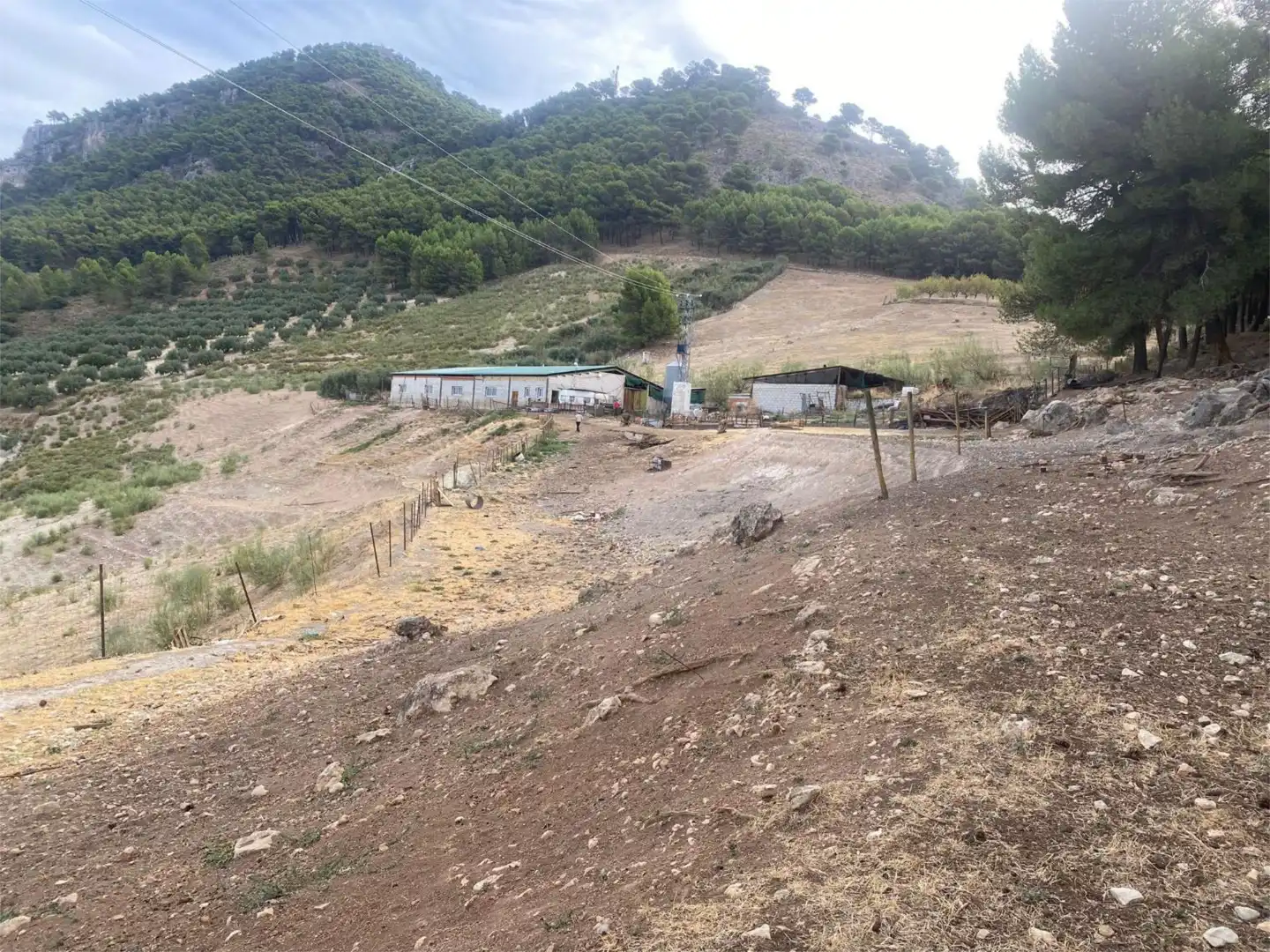 Terreno en venta en Rute Terreno en venta en Rute