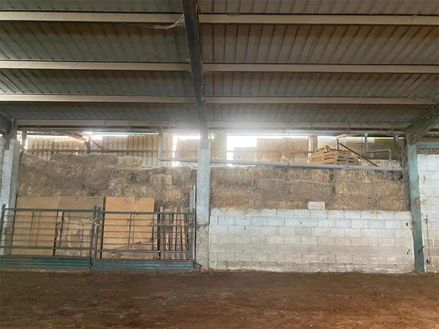Terreno en venta en Rute Terreno en venta en Rute