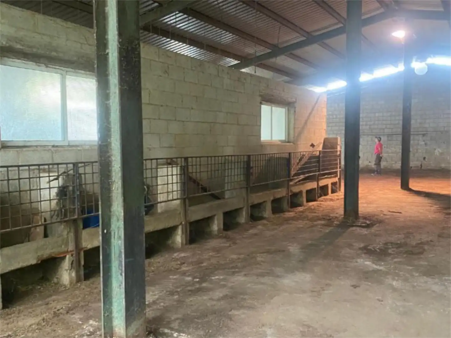 Terreno en venta en Rute Terreno en venta en Rute