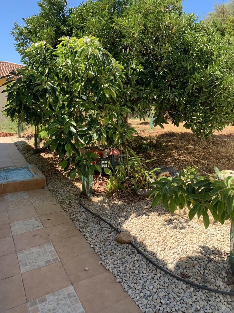 Jardí de Finca rústica de lloguer en Alcaucín