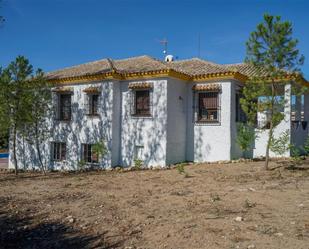 Vista exterior de Casa o xalet de lloguer en Almedinilla amb Aire condicionat, Terrassa i Piscina