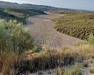 Außenansicht von Grundstücke zum verkauf in Benamaurel