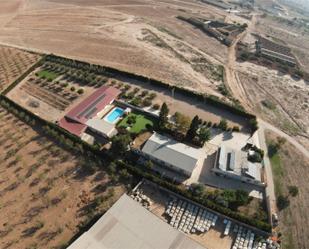 Land for sale in Fuente Álamo de Murcia