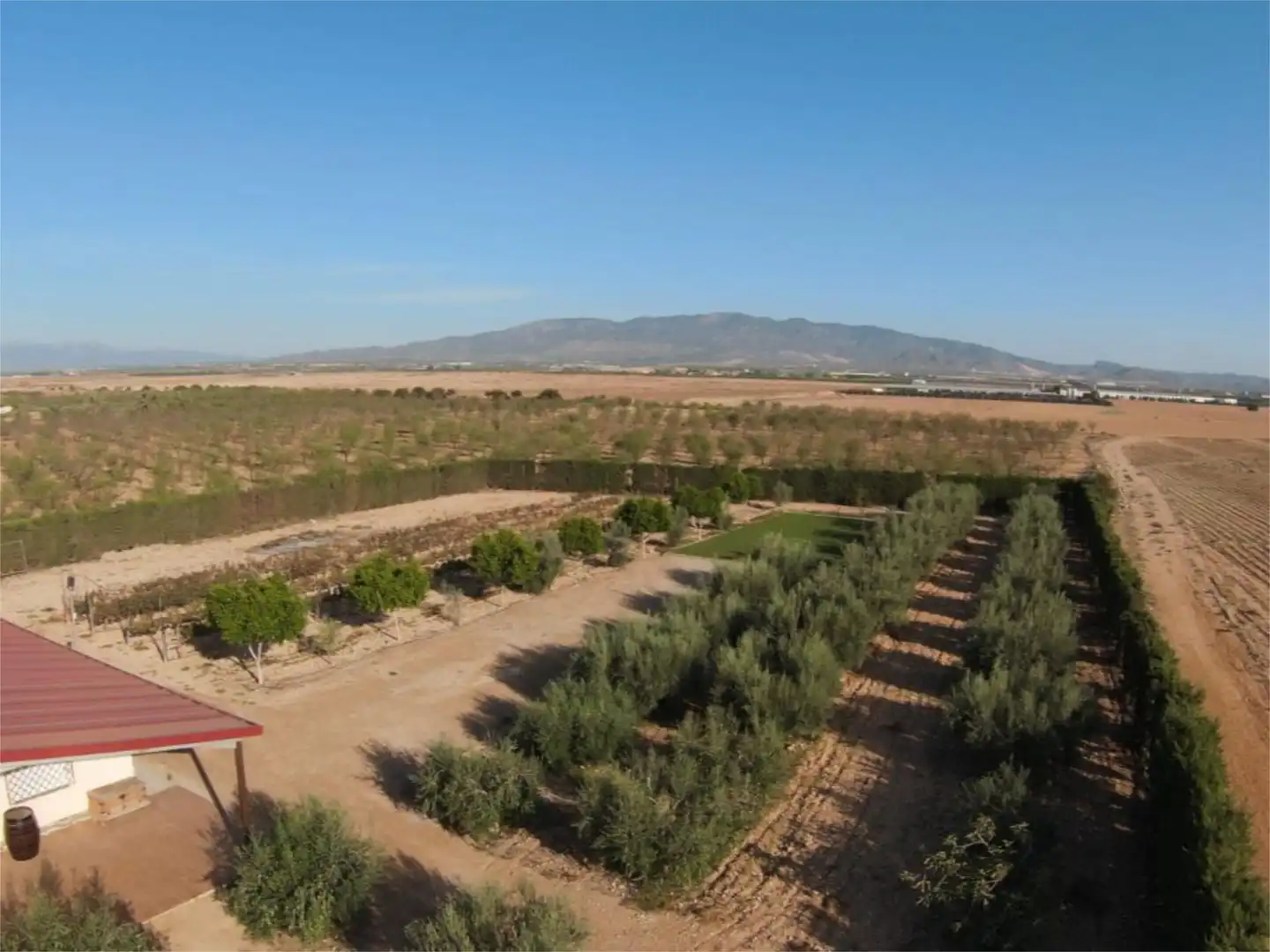 Terreno en venta en Las Cánovas - Cuevas de Reyllo Jardín de Terreno en venta en Fuente Álamo de Murcia