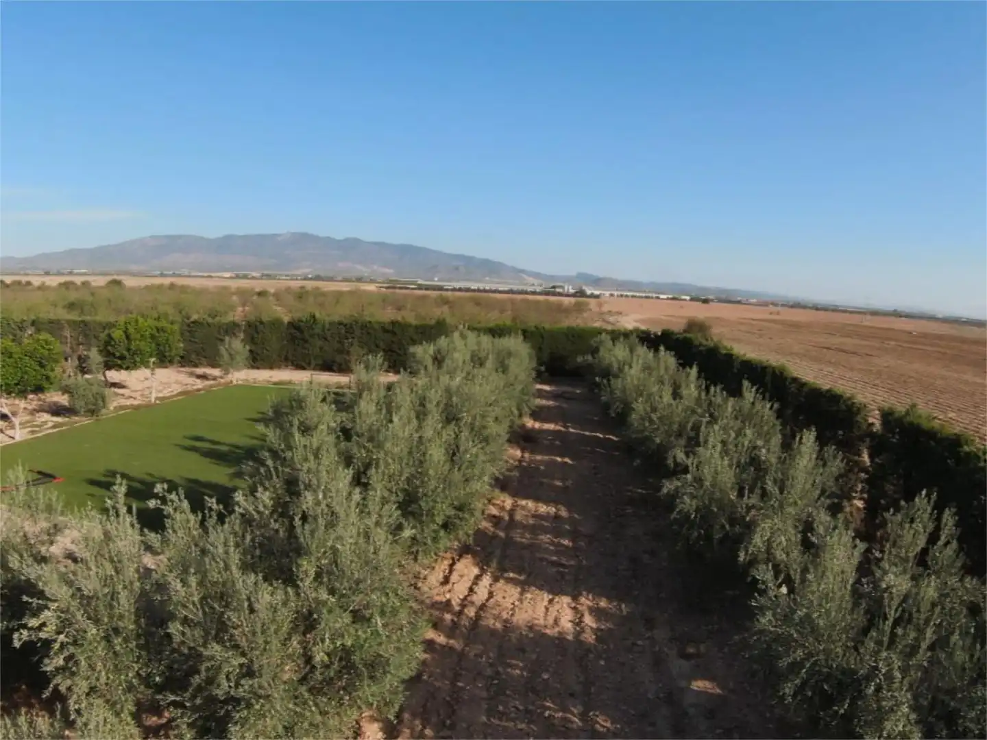 Terreno en venta en Las Cánovas - Cuevas de Reyllo Terreno en venta en Fuente Álamo de Murcia
