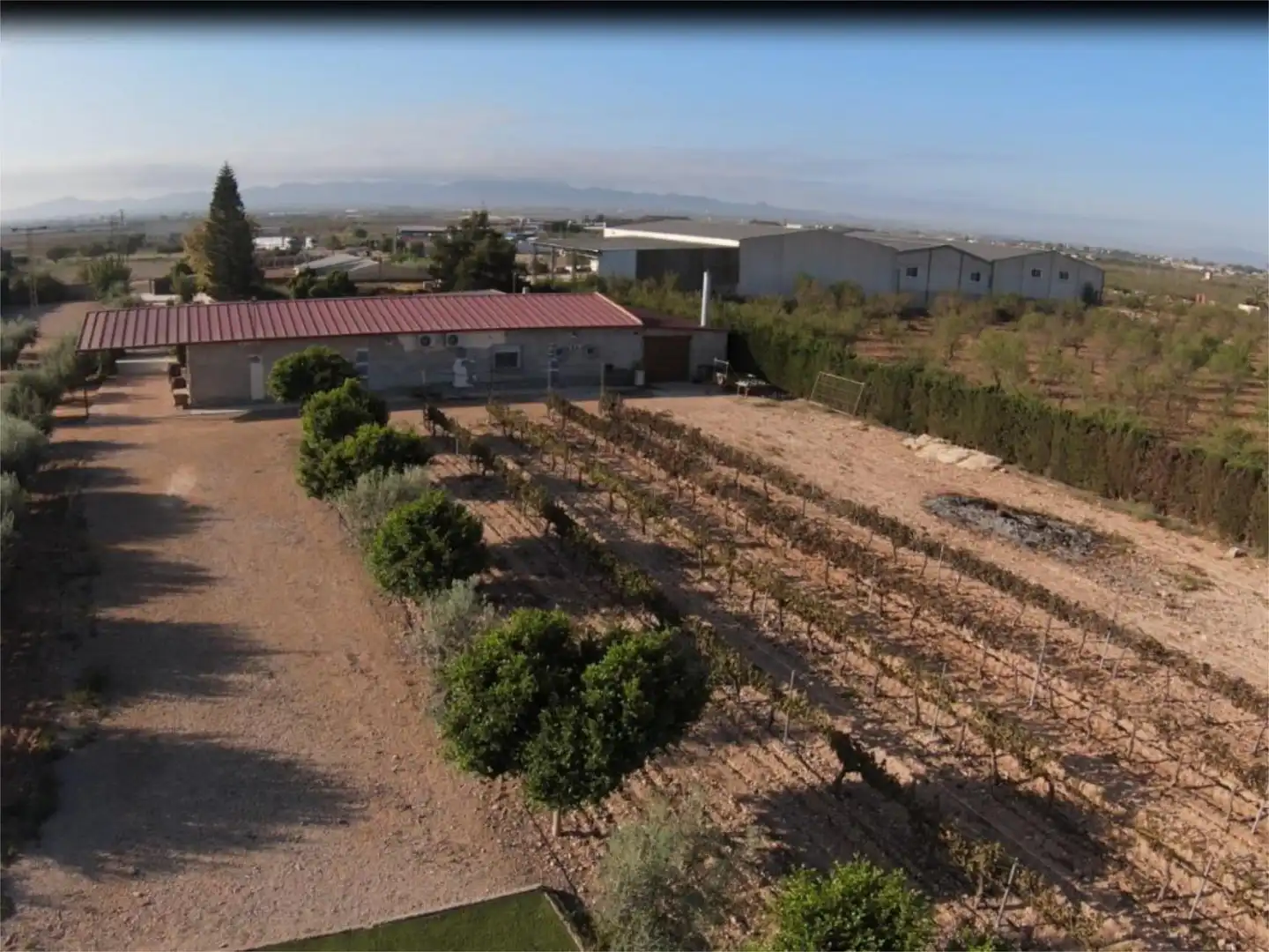 Terreno en venta en Las Cánovas - Cuevas de Reyllo Terreno en venta en Fuente Álamo de Murcia