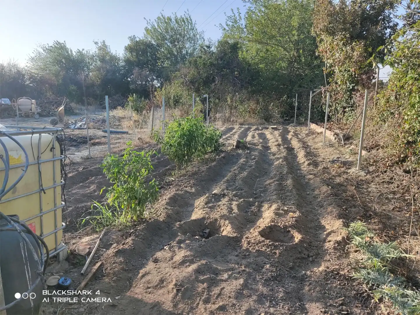 Land for sale in Villaverde del Río Land for sale in Villaverde del Río