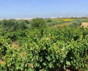 Vista exterior de Finca rústica en venda en Villalba del Alcor