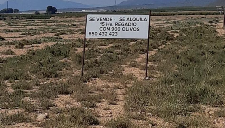 Land for sale in Calle Cánovas del Castillo, 129, Jumilla, Murcia - image 1 Photo 1 of Land for sale in Calle Cánovas del Castillo, 129, Jumilla, Murcia