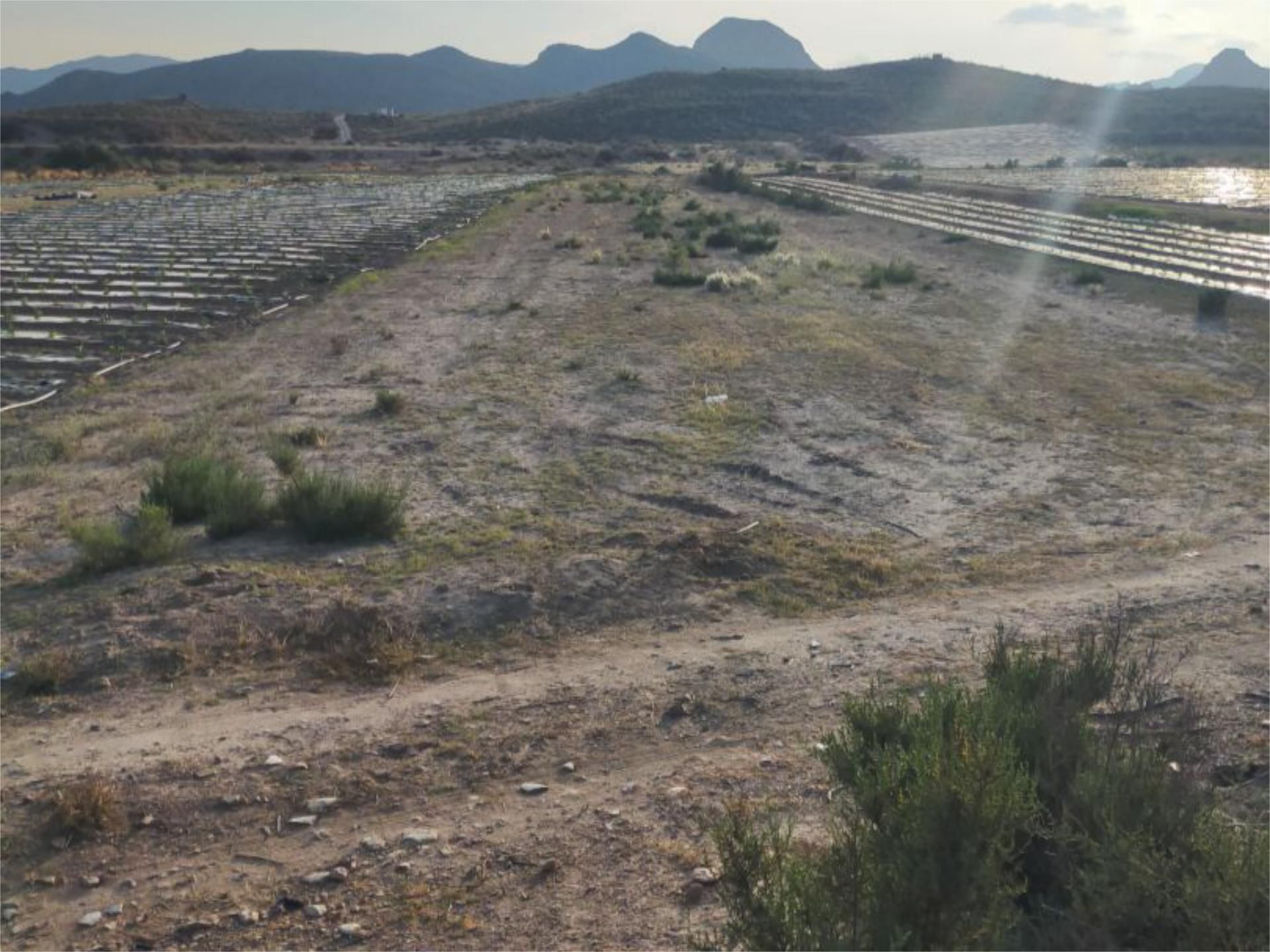 No Urbanitzable en venda en Mazarrón