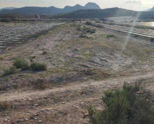 Non-constructible Land for sale in Mazarrón