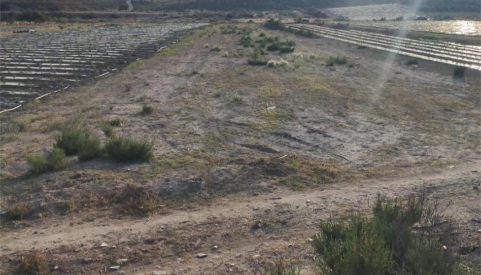 Photo 1 of Non-constructible Land for sale in Diputacion Pastrana, 4, Bolnuevo, Murcia