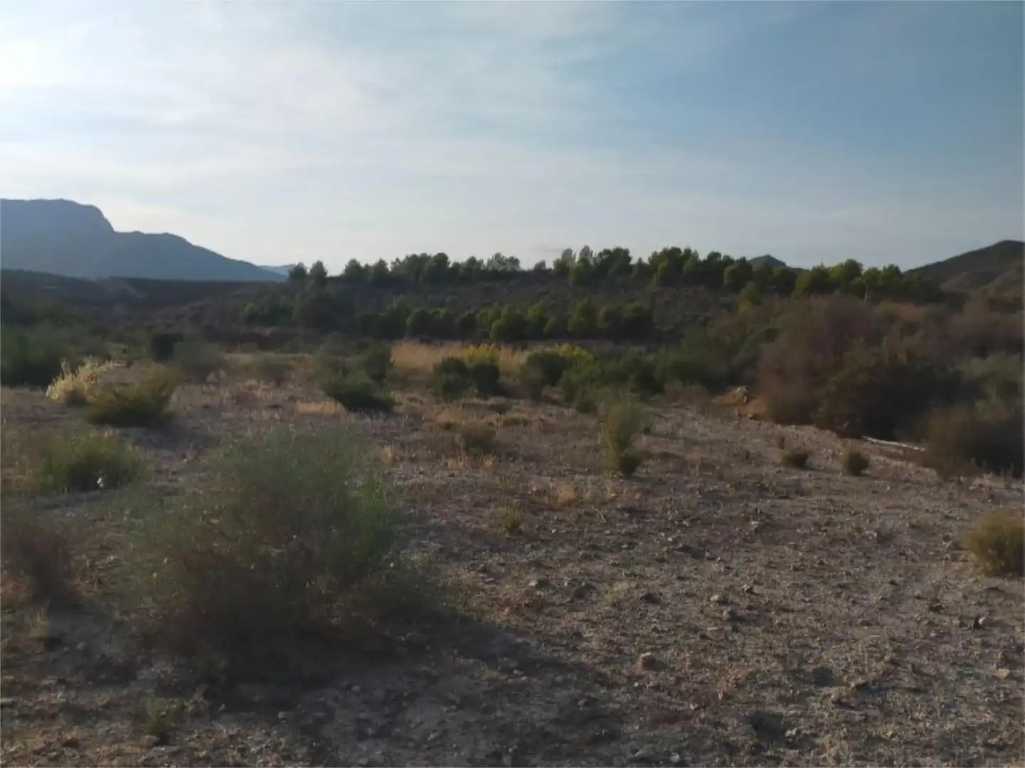 Non-constructible Land for sale in Mazarrón